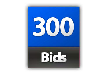 300 Bid Pack!