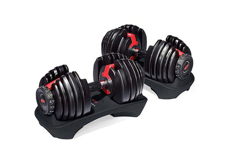 Bowflex SelectTech 552 Dumbbells