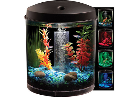 Hawkeye 2 Gallon 360 Starter Aquarium Kit with LED Lighting