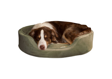 PAW Cuddle Round Suede Terry Pet Bed, Large