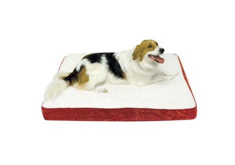 Oscar Orthopedic Dog Bed, Large (36 x 48in.), Crimson