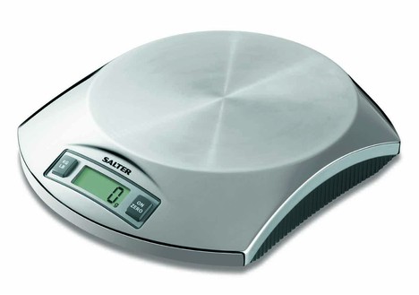 Taylor Stainless Steel Electronic Kitchen Scale